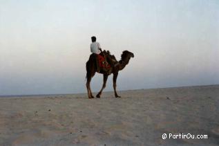 Le Sud tunisien - Tunisie