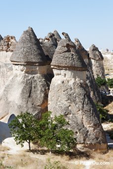 Paşa Bağı en Cappadoce - Turquie